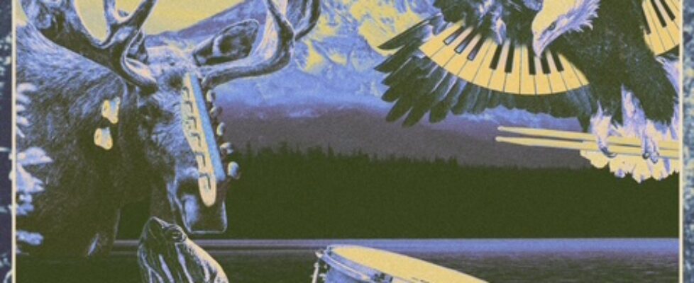 PATTERNS FLY - final